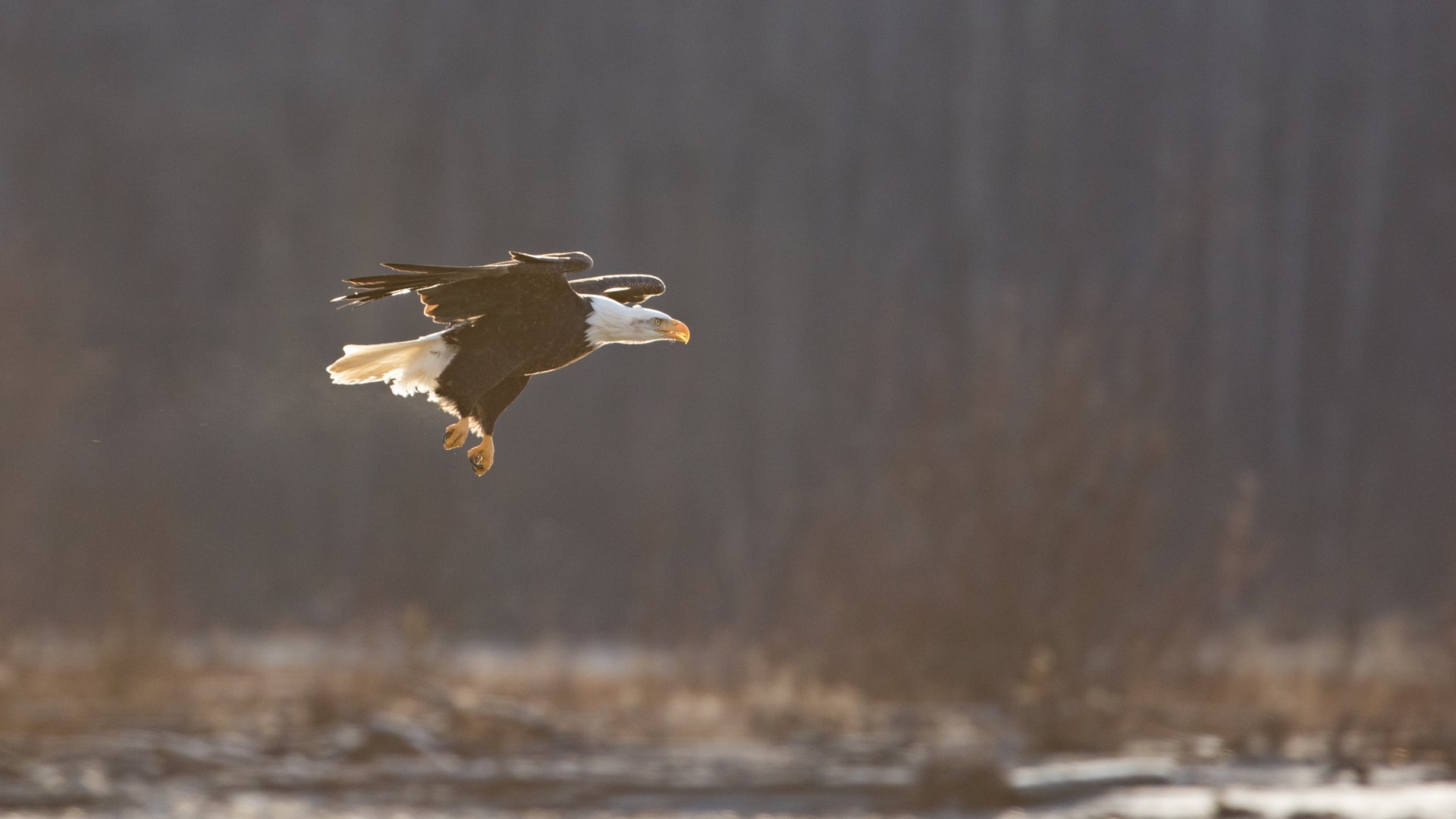 Final Approach