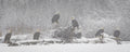 Winter Retreat