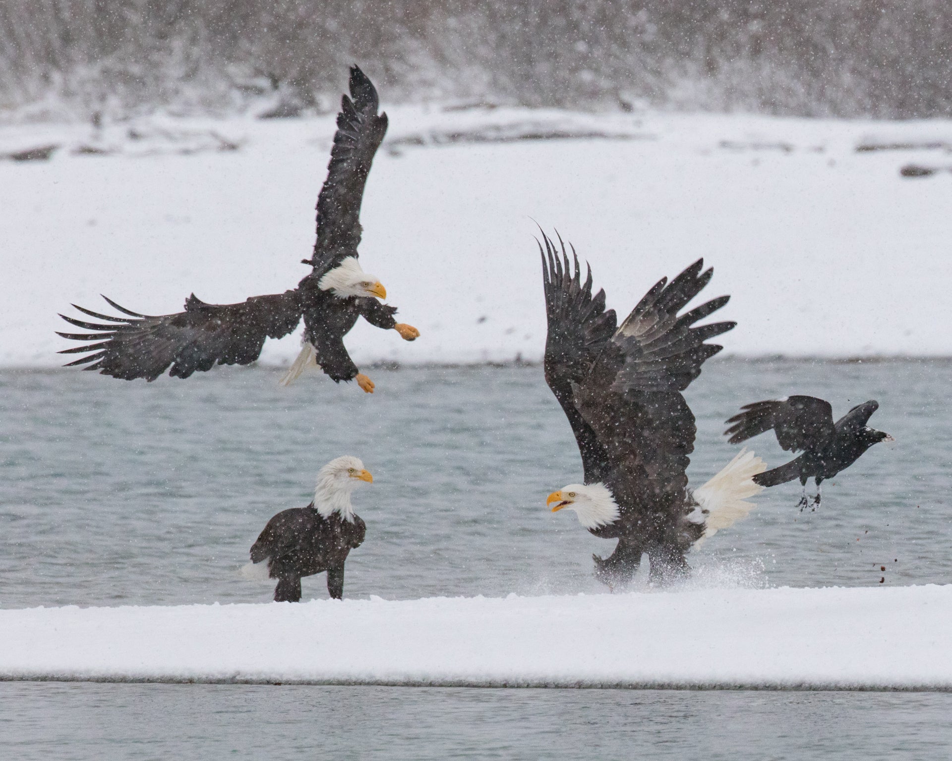 Scramble