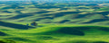 Emerald Island