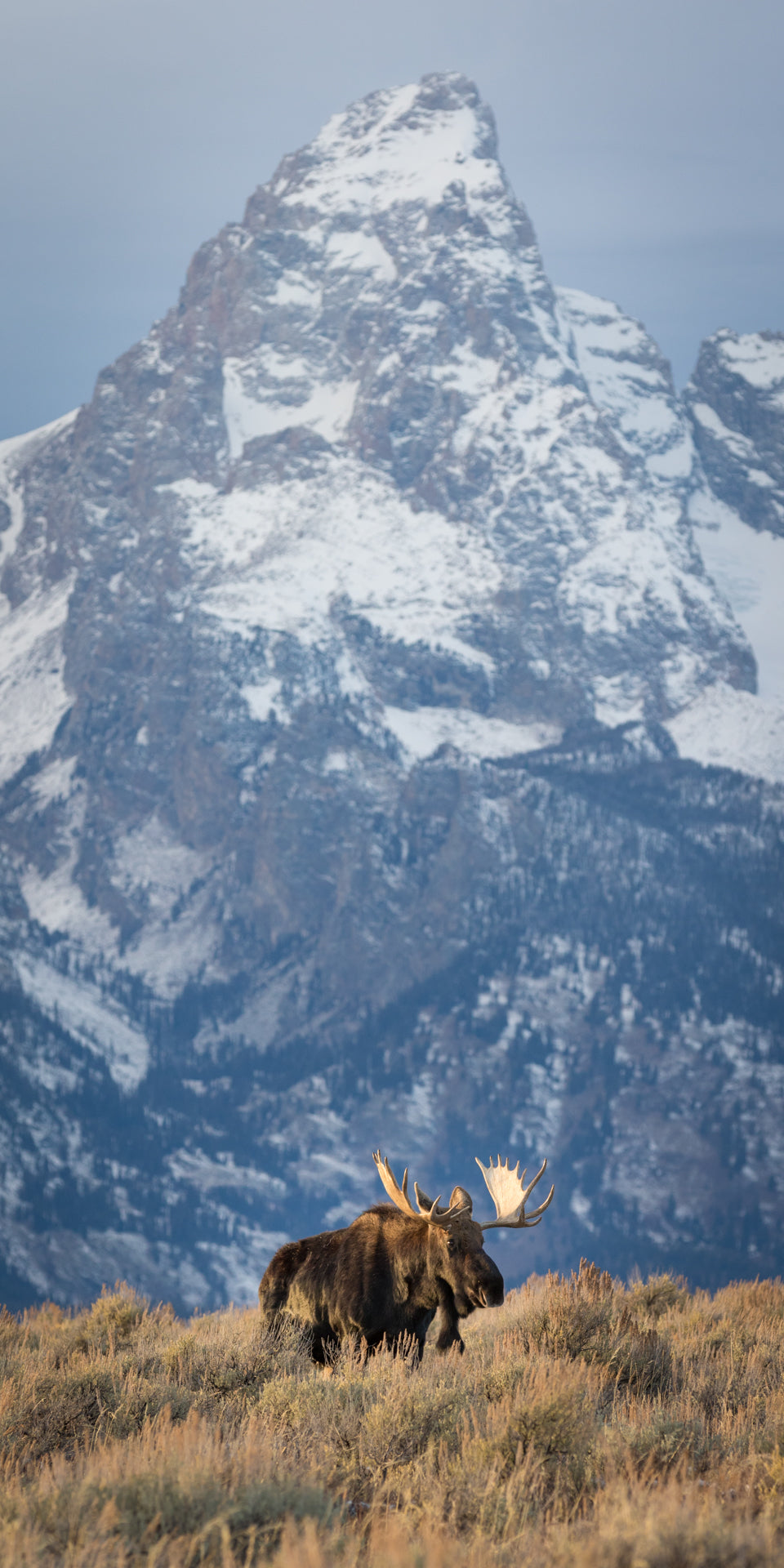 Grandeur