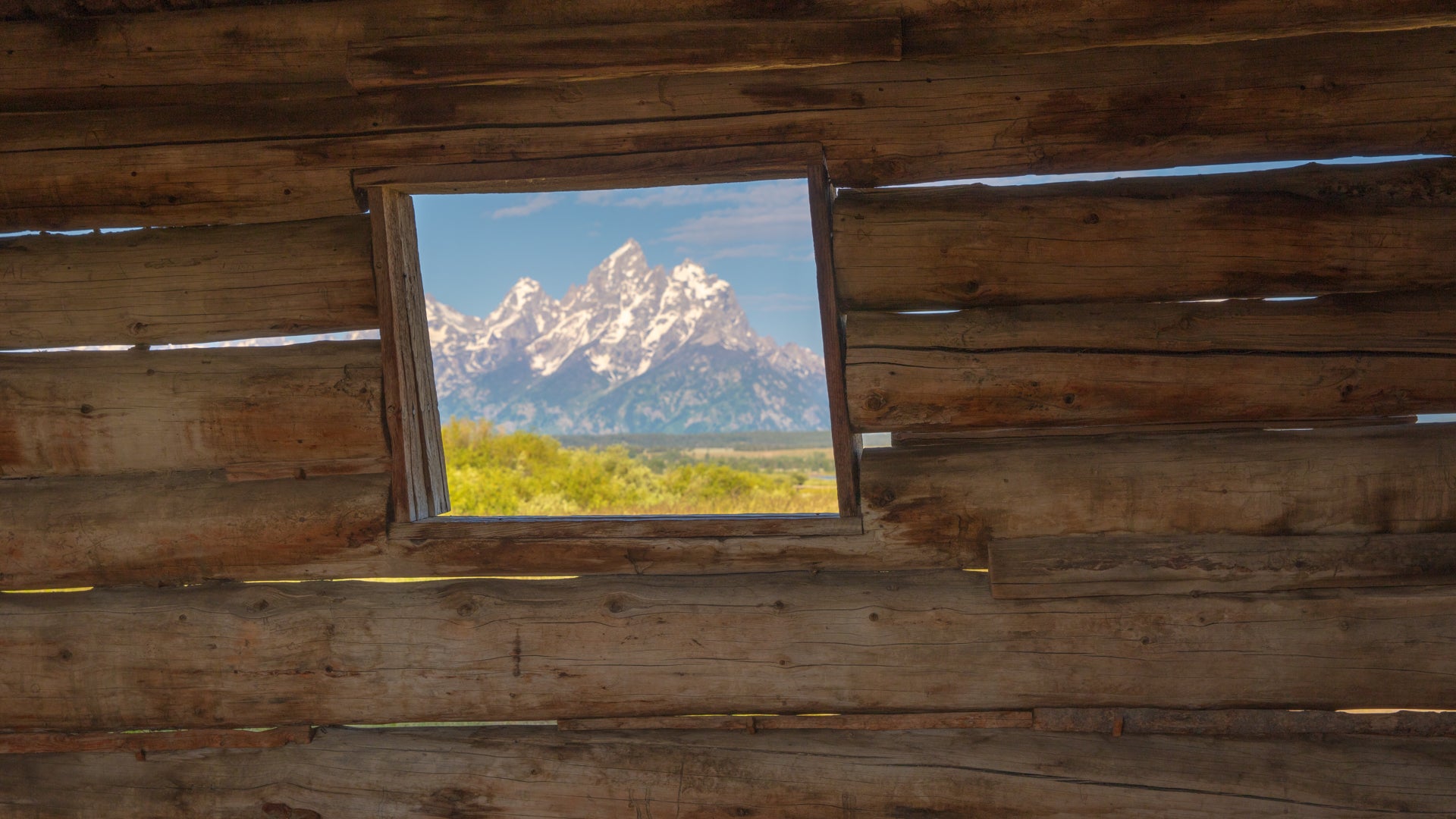 Room with a View