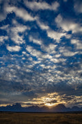 Waking Dream