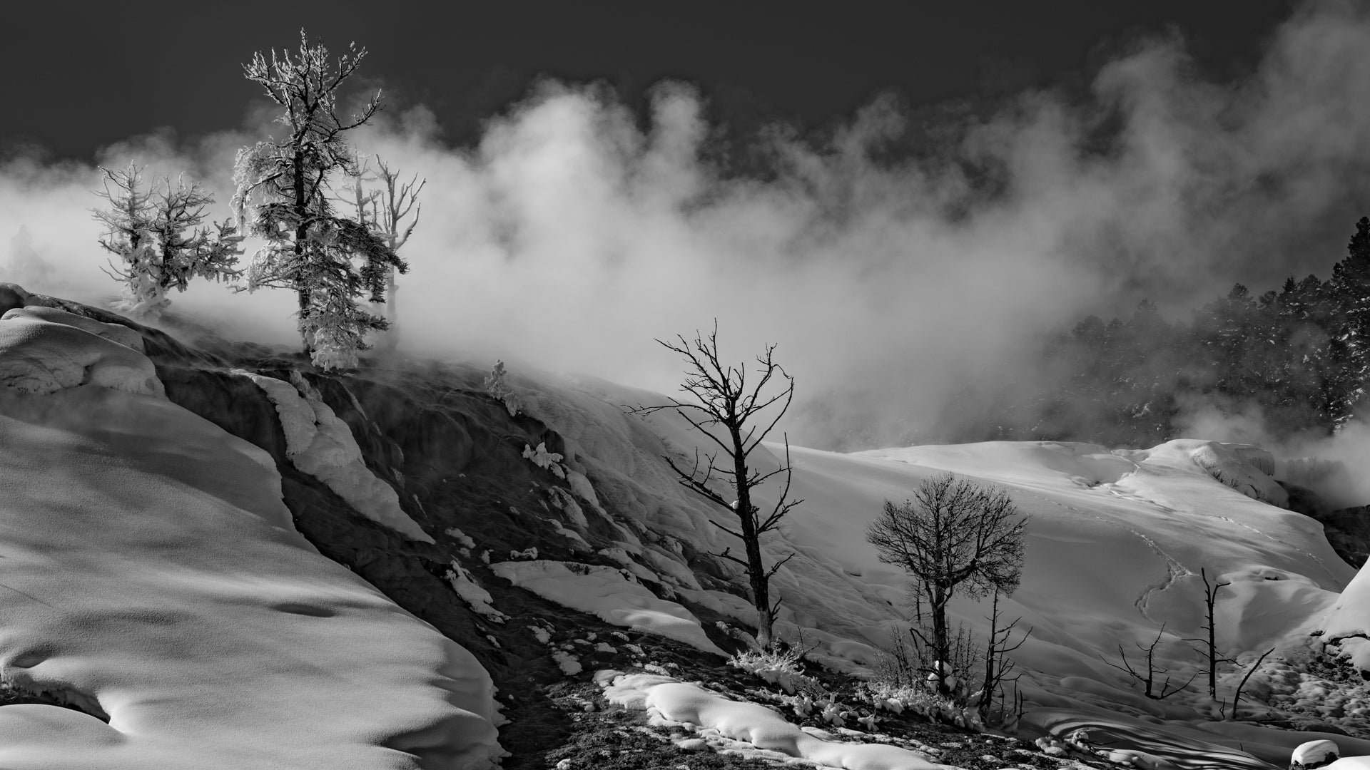 House of Steam and Fog