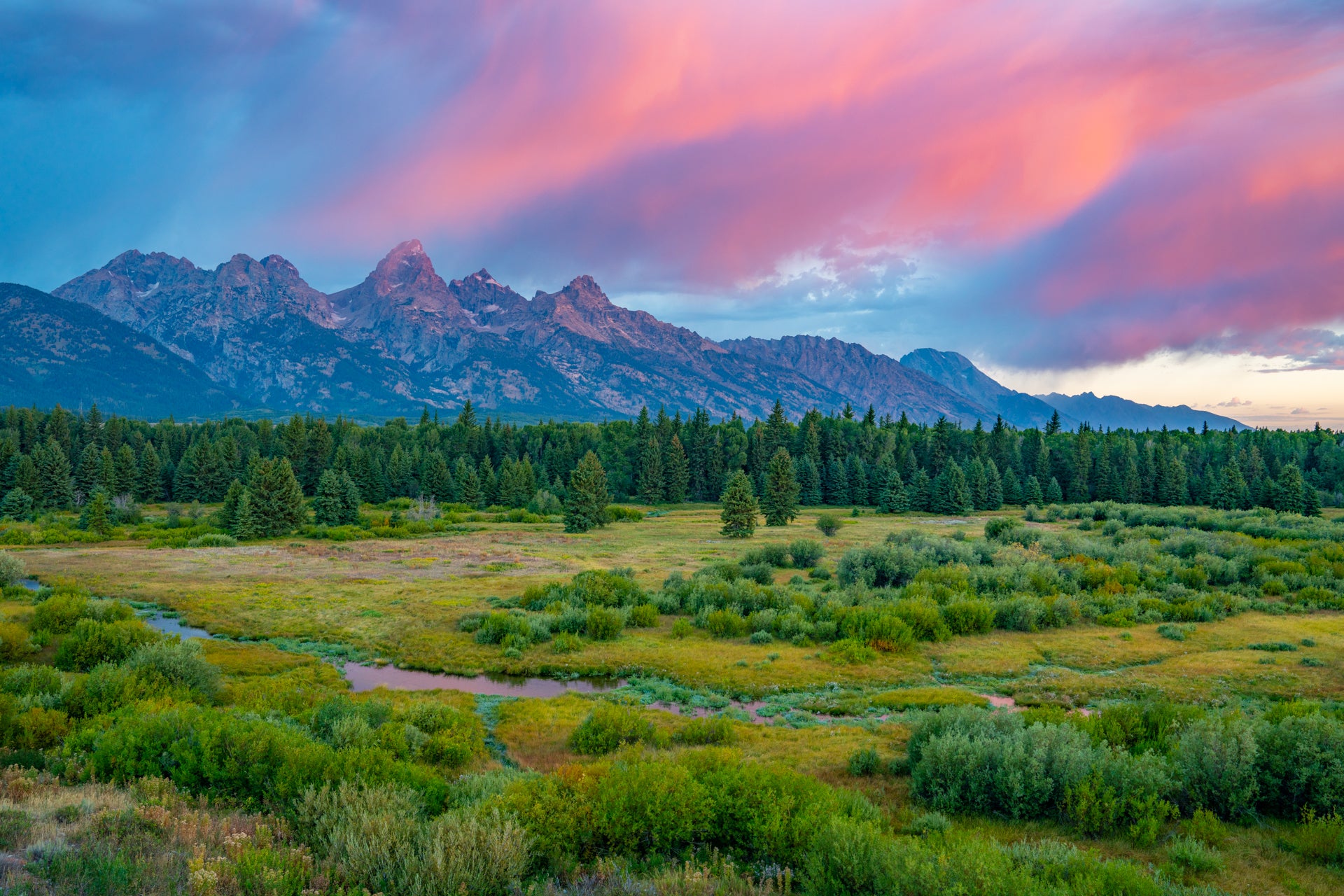 Blacktail Sunrise