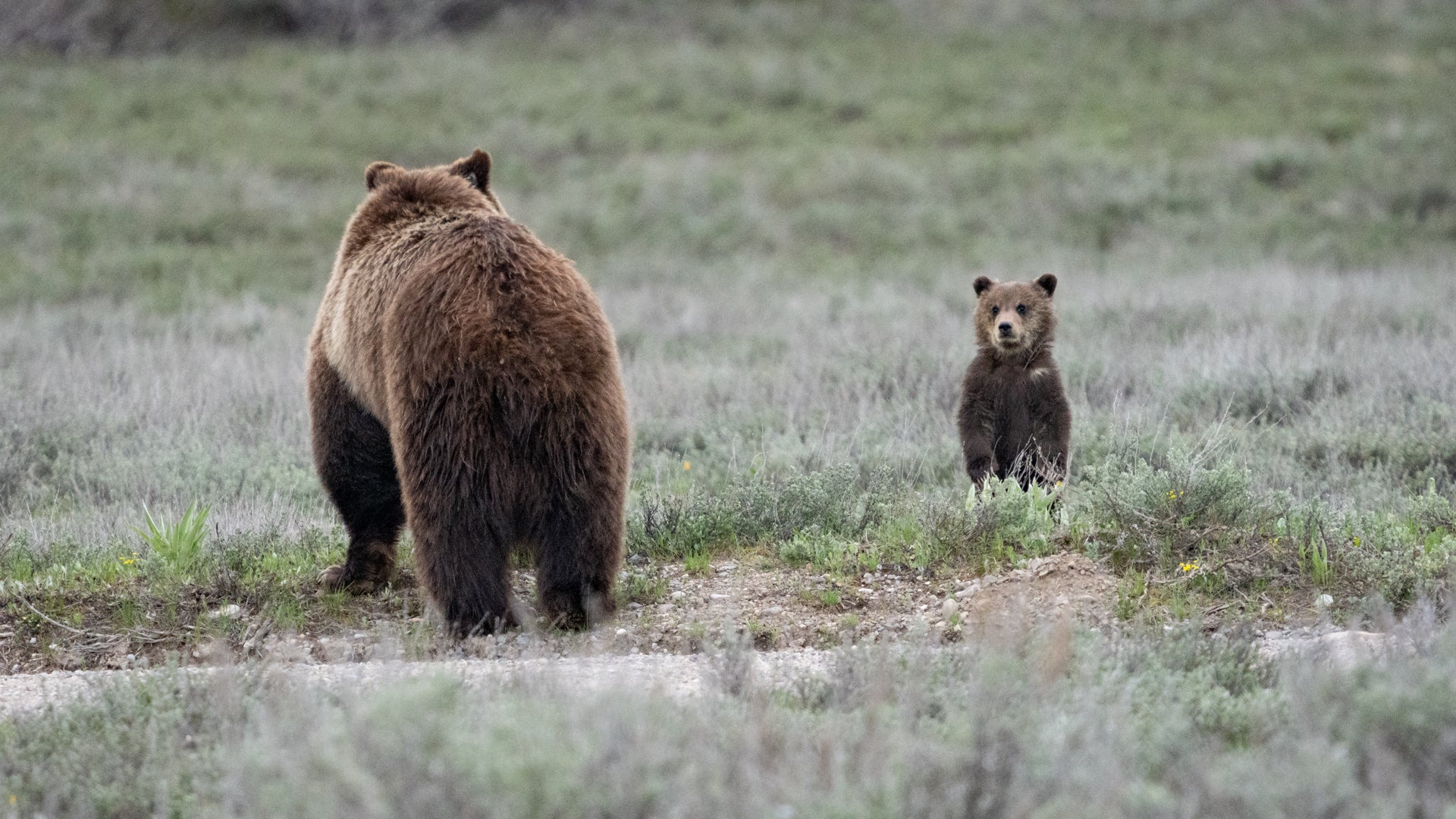 Timeout