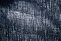 Nature's Lithograph