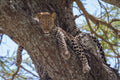 Hanging Out