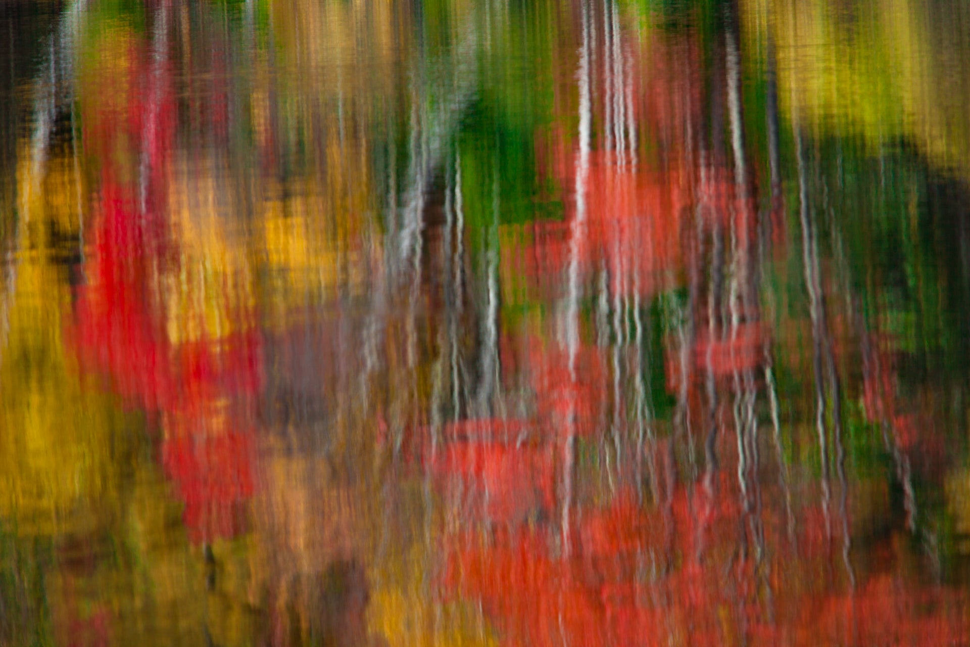 Sawyer Pond