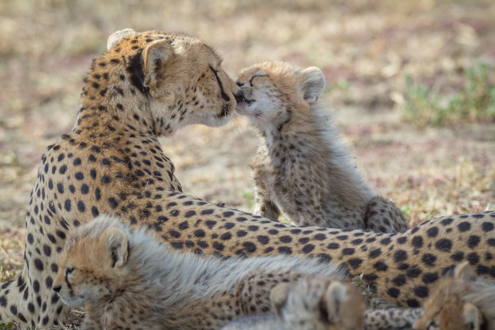 Mother and Child