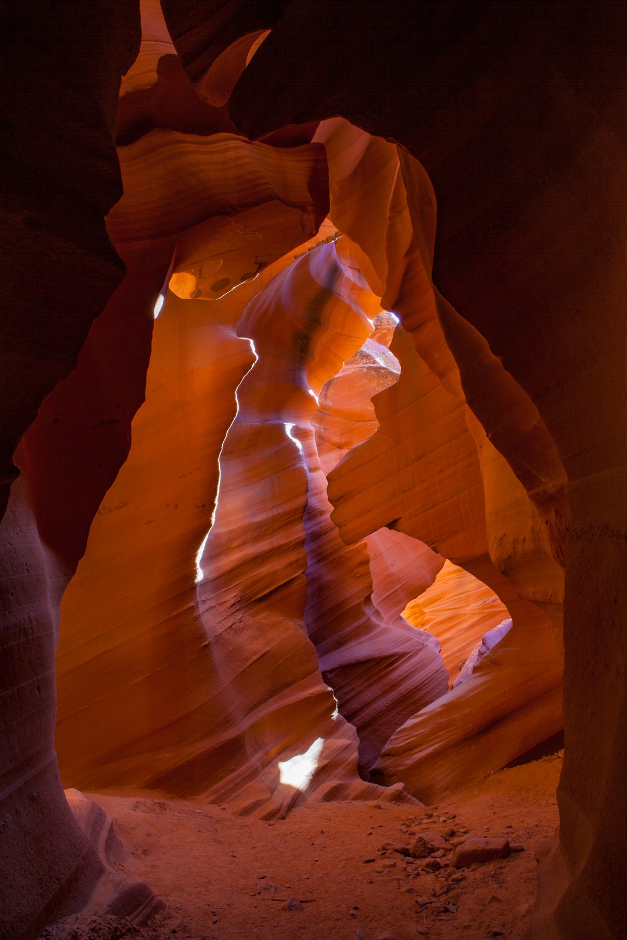 Nature's Cathedral