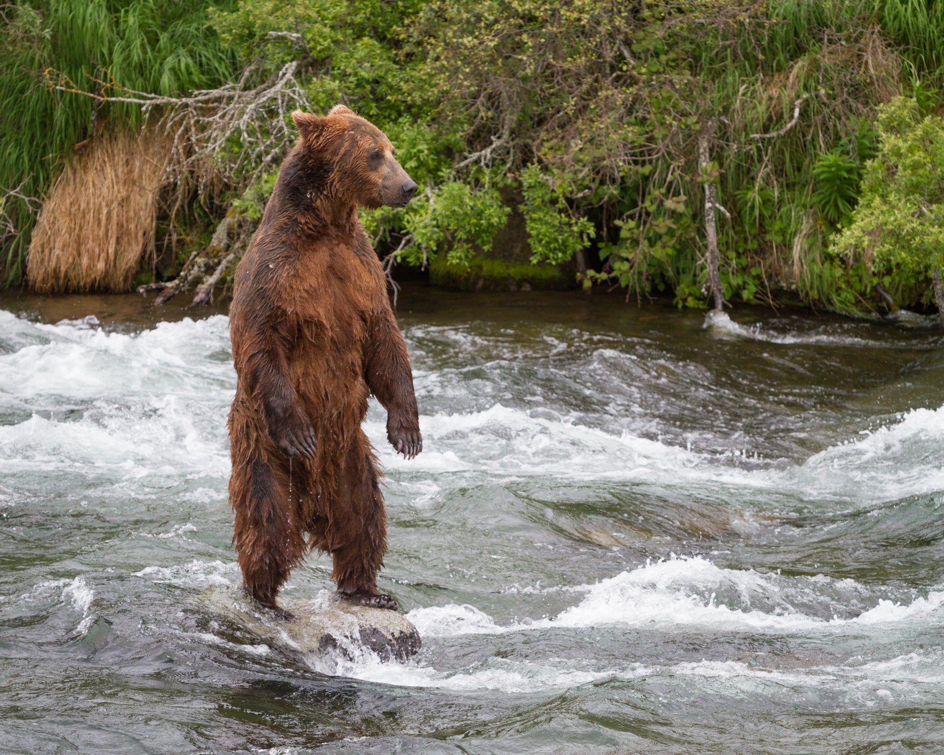 Gone Fishing