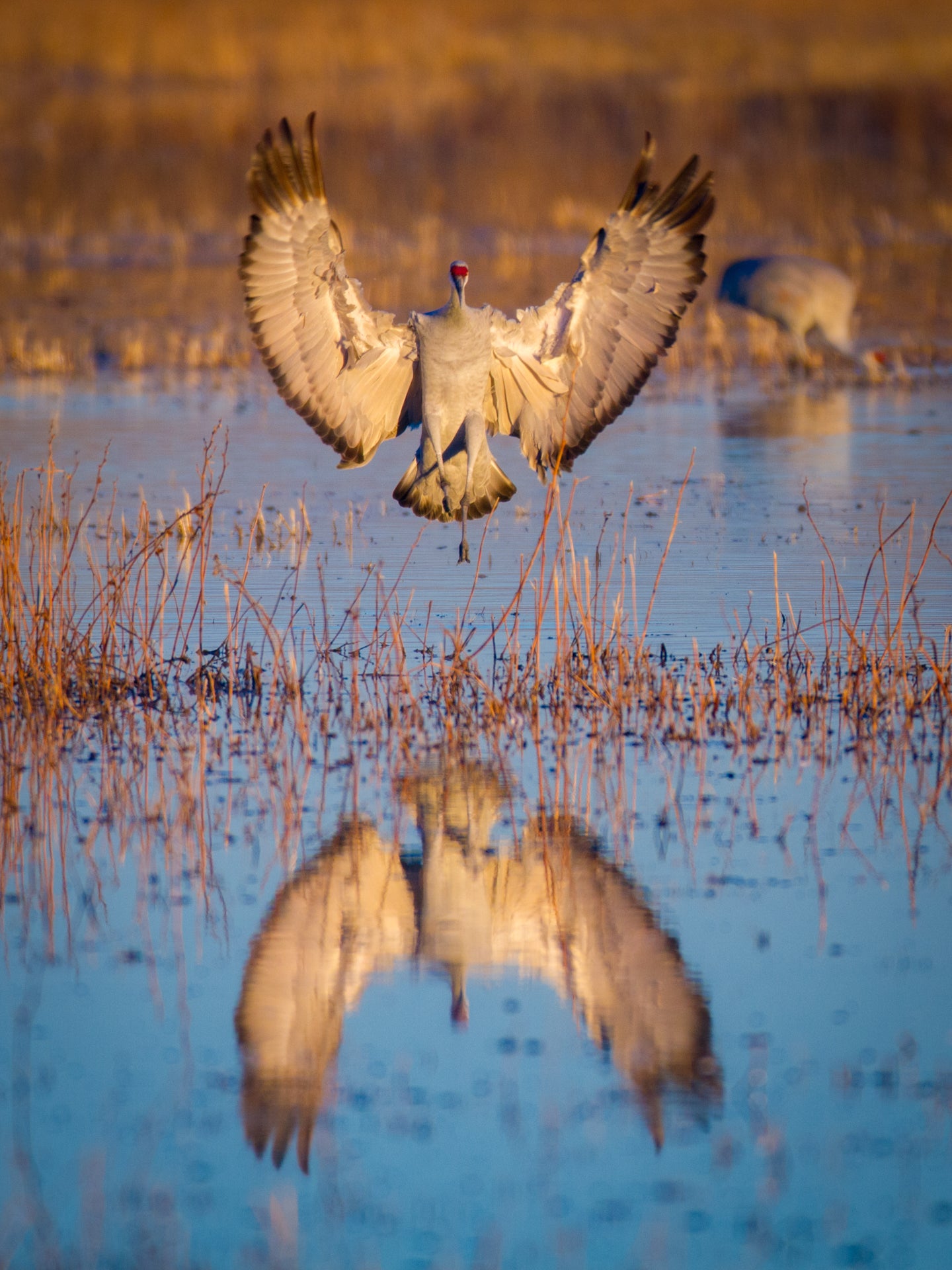 Perfect Landing