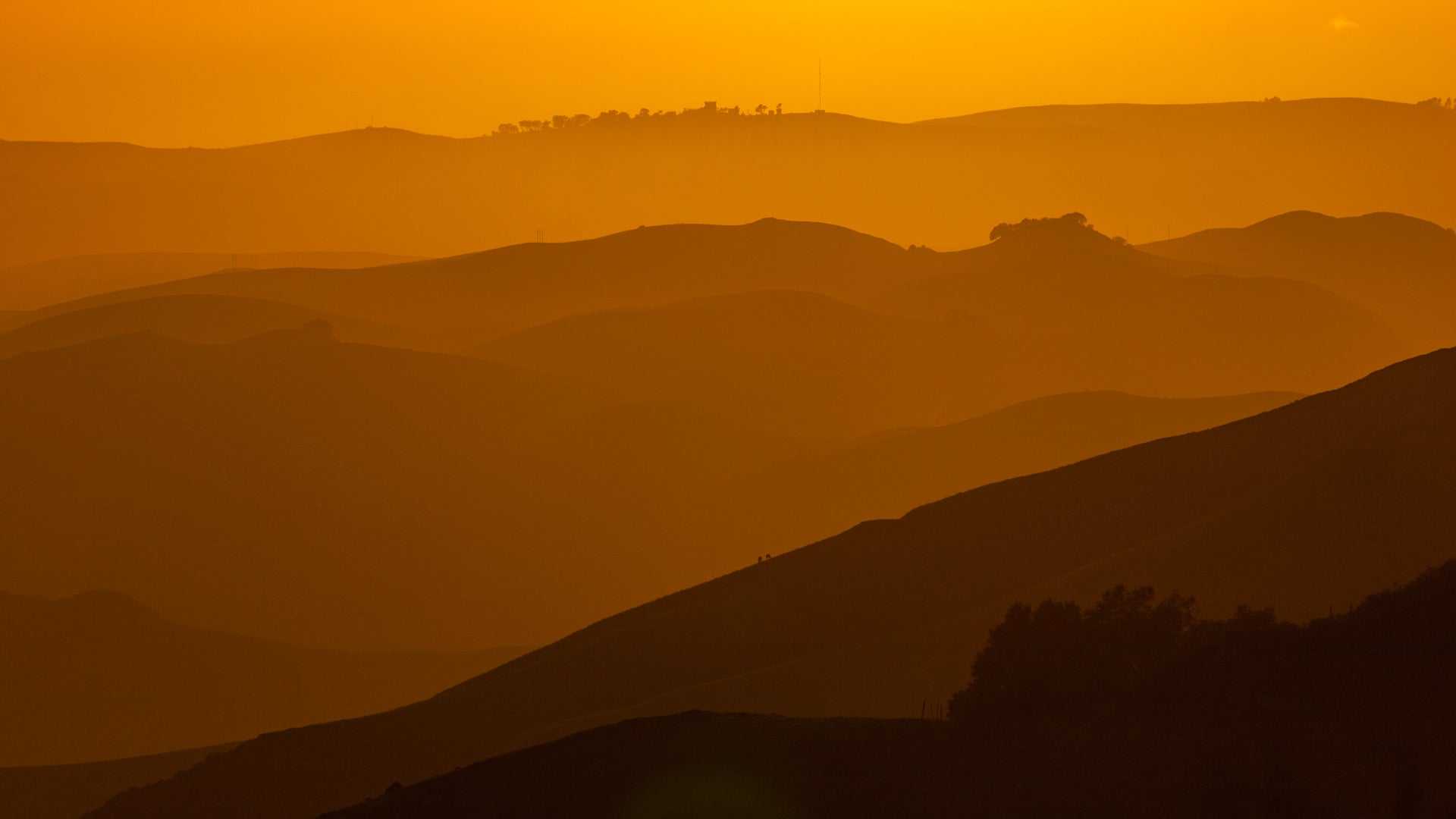 Coastal Range